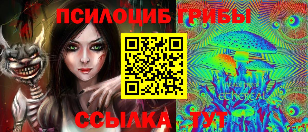 Псилоцибиновые грибы Cubensis  Псилоцибиновые грибы мицелий  наркотики  Вход с VPN  Лосино-Петровский 