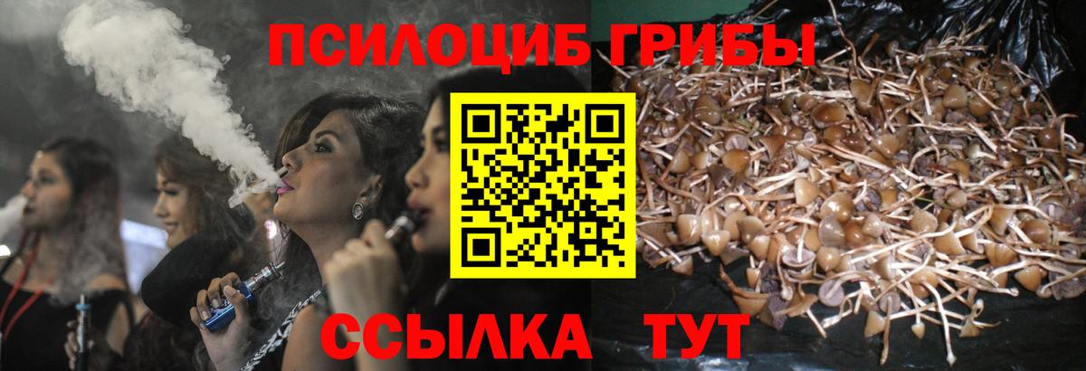 Галлюциногенные грибы ЛСД Лосино-Петровский